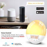 WiFi Control Intelligent Alarm Clock